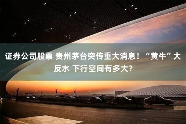 证券公司股票 贵州茅台突传重大消息！“黄牛”大反水 下行空间有多大？