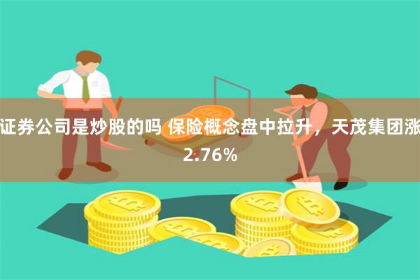 证券公司是炒股的吗 保险概念盘中拉升，天茂集团涨2.76%