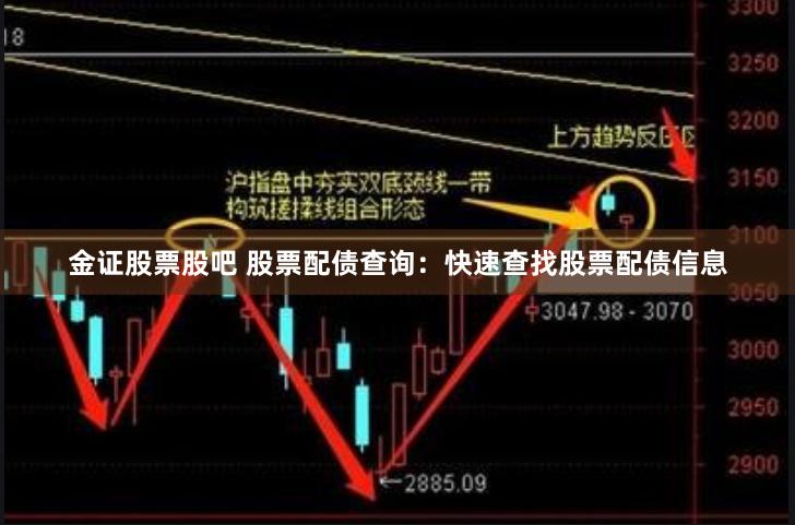 金证股票股吧 股票配债查询：快速查找股票配债信息